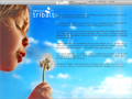 
Création de site internet Biot