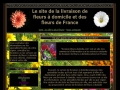 
Livraison fleurs domicile