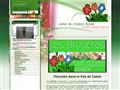 
Plantes d'intérieur et décoration florale - fleuriste pas de calais