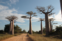 
Guide Madagascar Tour, le guide  Mada