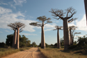 
Guide Madagascar Tour, le guide à Mada