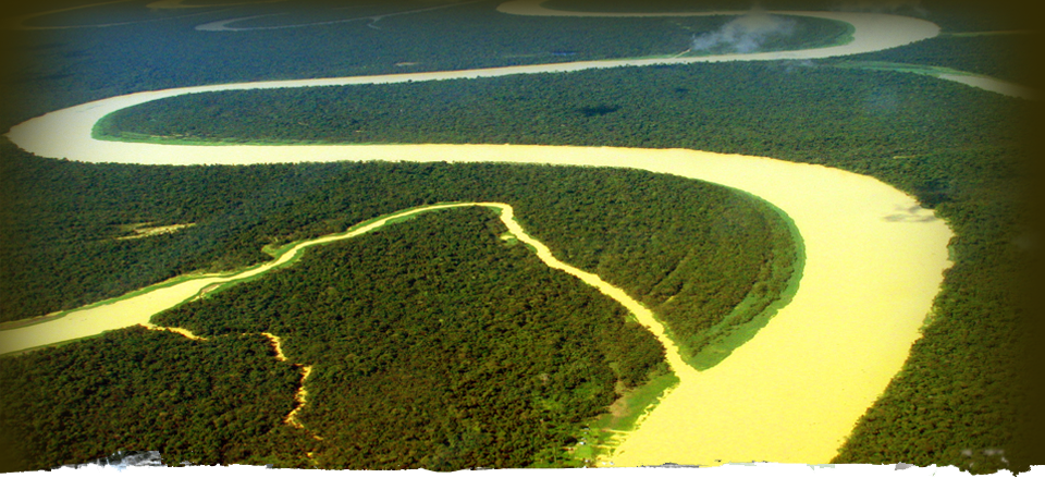 
Africario : des forêts du Congo à Rio+20