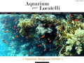 
Aquarium, création  d'aquarium   luxe 