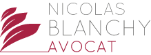
Nicolas Blanchy, Avocat de la Famille à Valence