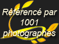 
Annuaire de photographes