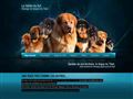 
Dogue du Tibet, Tibetan mastiff, Dokhyi, Ã©levage 