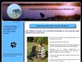 
Comportementaliste canin a Bordeaux en Gironde (33)  : Comportementaliste - 33